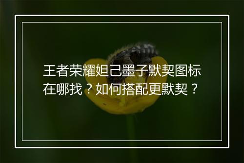 王者荣耀妲己墨子默契图标在哪找？如何搭配更默契？