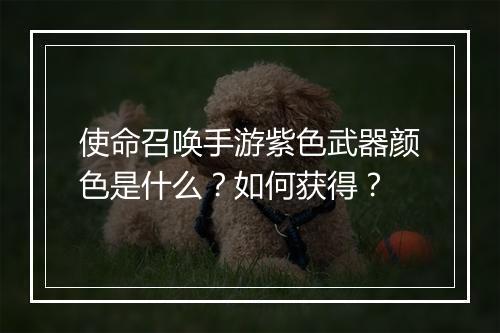 使命召唤手游紫色武器颜色是什么？如何获得？