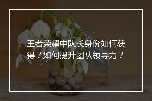 王者荣耀中队长身份如何获得？如何提升团队领导力？