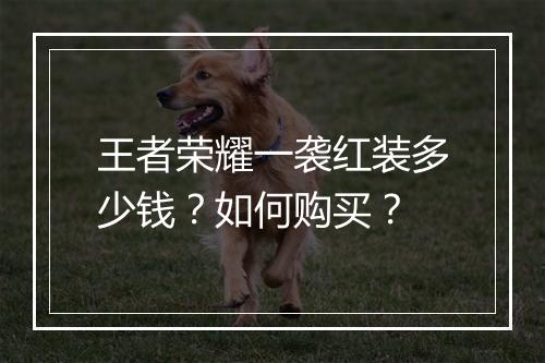 王者荣耀一袭红装多少钱？如何购买？