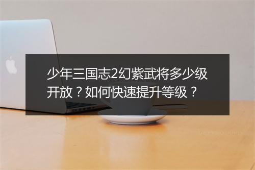 少年三国志2幻紫武将多少级开放？如何快速提升等级？