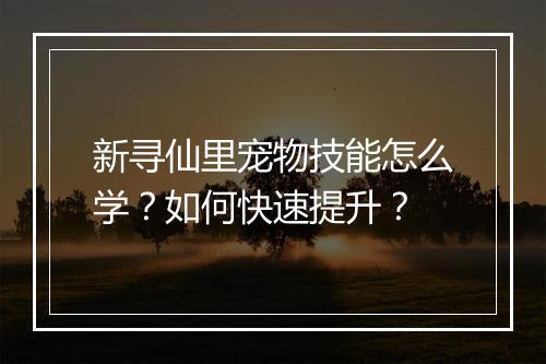新寻仙里宠物技能怎么学？如何快速提升？