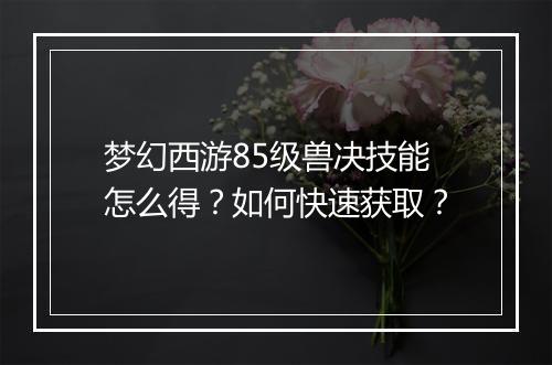 梦幻西游85级兽决技能怎么得？如何快速获取？