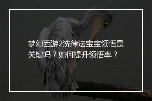 梦幻西游2洗律法宝宝领悟是关键吗？如何提升领悟率？