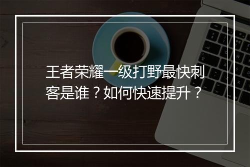 王者荣耀一级打野最快刺客是谁？如何快速提升？