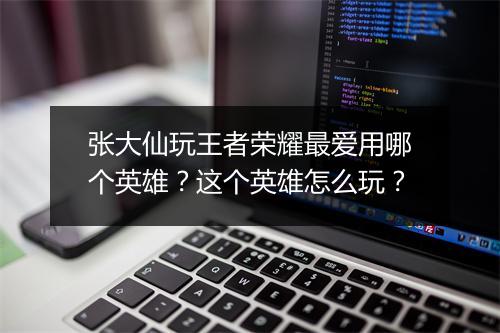 张大仙玩王者荣耀最爱用哪个英雄？这个英雄怎么玩？