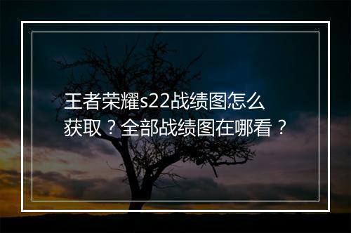 王者荣耀s22战绩图怎么获取？全部战绩图在哪看？