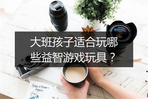 大班孩子适合玩哪些益智游戏玩具？