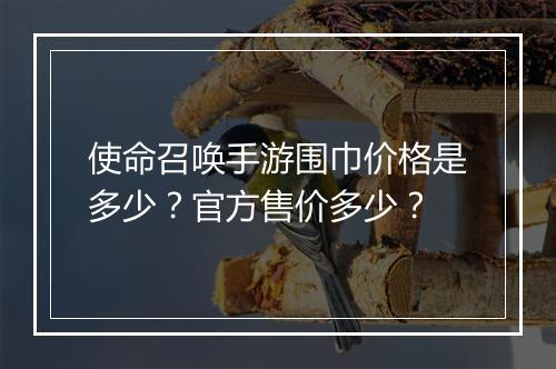 使命召唤手游围巾价格是多少？官方售价多少？