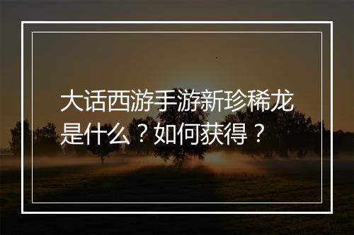 大话西游手游新珍稀龙是什么？如何获得？