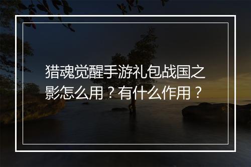 猎魂觉醒手游礼包战国之影怎么用？有什么作用？