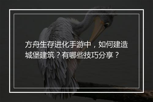 方舟生存进化手游中，如何建造城堡建筑？有哪些技巧分享？
