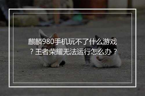 麒麟980手机玩不了什么游戏？王者荣耀无法运行怎么办？