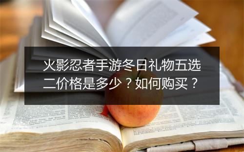 火影忍者手游冬日礼物五选二价格是多少？如何购买？