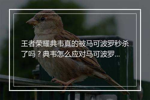 王者荣耀典韦真的被马可波罗秒杀了吗？典韦怎么应对马可波罗？