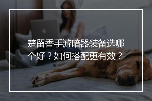 楚留香手游暗器装备选哪个好？如何搭配更有效？