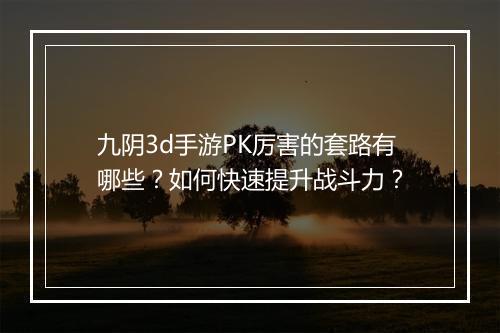 九阴3d手游PK厉害的套路有哪些？如何快速提升战斗力？
