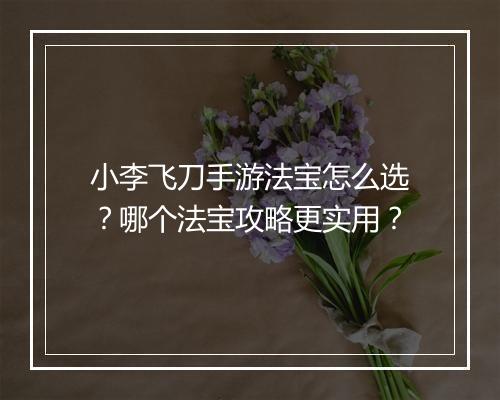 小李飞刀手游法宝怎么选？哪个法宝攻略更实用？