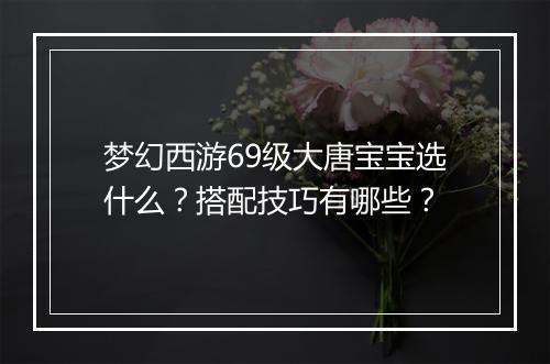 梦幻西游69级大唐宝宝选什么？搭配技巧有哪些？