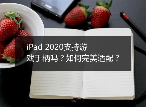 iPad 2020支持游戏手柄吗？如何完美适配？