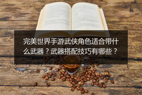 完美世界手游武侠角色适合带什么武器？武器搭配技巧有哪些？