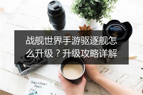 战舰世界手游驱逐舰怎么升级？升级攻略详解