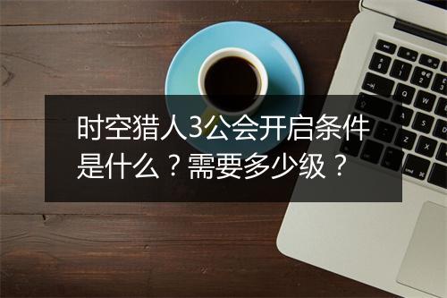 时空猎人3公会开启条件是什么？需要多少级？
