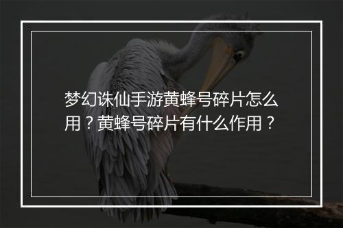 梦幻诛仙手游黄蜂号碎片怎么用？黄蜂号碎片有什么作用？