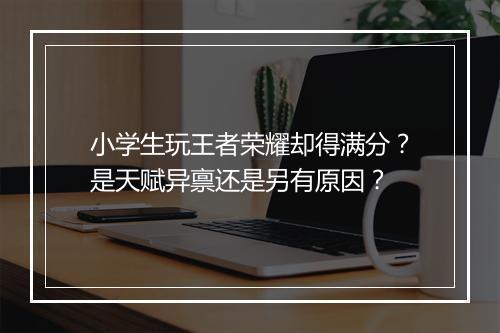 小学生玩王者荣耀却得满分？是天赋异禀还是另有原因？