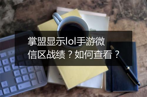 掌盟显示lol手游微信区战绩?如何查看?