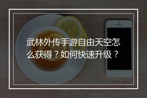 武林外传手游自由天空怎么获得?如何快速升级?