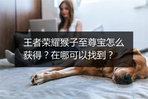 王者荣耀猴子至尊宝怎么获得?在哪可以找到?