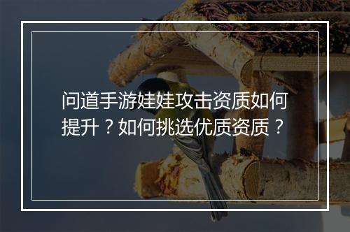 问道手游娃娃攻击资质如何提升?如何挑选优质资质?