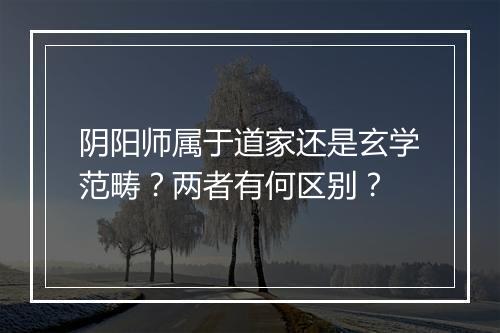 阴阳师属于道家还是玄学范畴?两者有何区别?