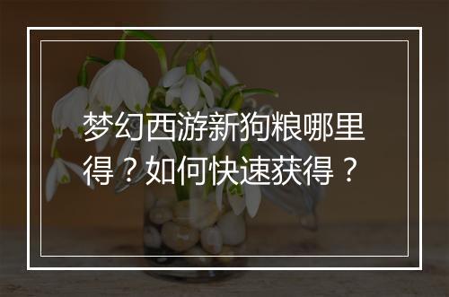 梦幻西游新狗粮哪里得?如何快速获得?