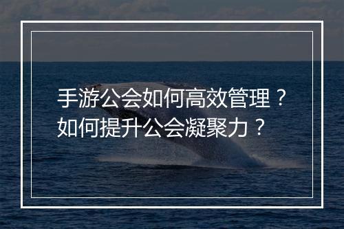 手游公会如何高效管理?如何提升公会凝聚力?
