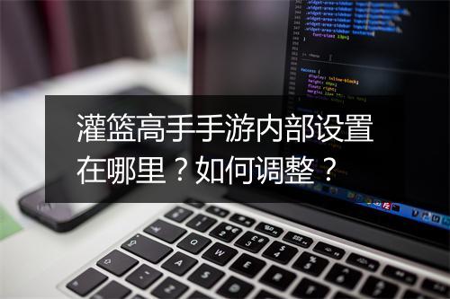 灌篮高手手游内部设置在哪里?如何调整?