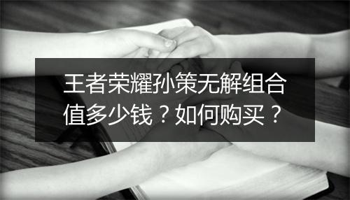 王者荣耀孙策无解组合值多少钱？如何购买？