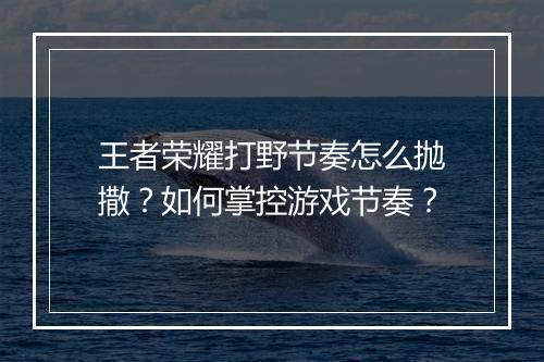 王者荣耀打野节奏怎么抛撒?如何掌控游戏节奏?