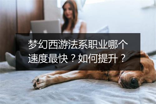 梦幻西游法系职业哪个速度最快?如何提升?