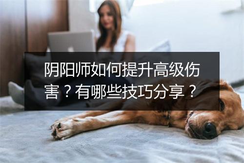 阴阳师如何提升高级伤害?有哪些技巧分享?