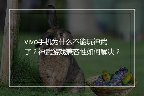 vivo手机为什么不能玩神武了?神武游戏兼容性如何解决?