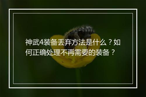 神武4装备丢弃方法是什么？如何正确处理不再需要的装备？