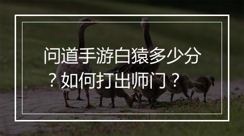 问道手游白猿多少分？如何打出师门？
