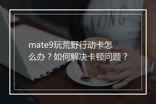mate9玩荒野行动卡怎么办?如何解决卡顿问题?