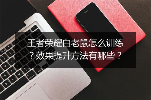 王者荣耀白老鼠怎么训练?效果提升方法有哪些?