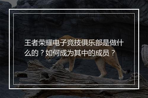 王者荣耀电子竞技俱乐部是做什么的?如何成为其中的成员?