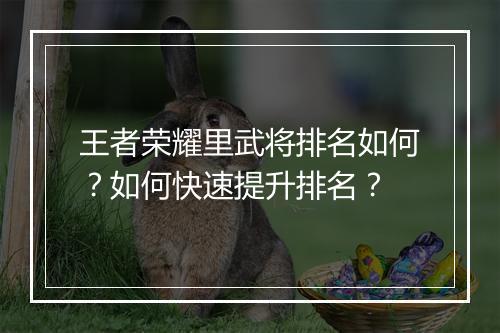 王者荣耀里武将排名如何？如何快速提升排名？