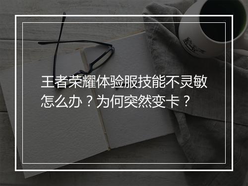 王者荣耀体验服技能不灵敏怎么办？为何突然变卡？