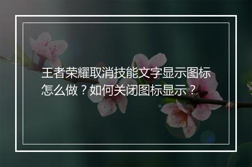 王者荣耀取消技能文字显示图标怎么做?如何关闭图标显示?